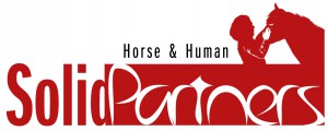 Solid Partners_Logo
