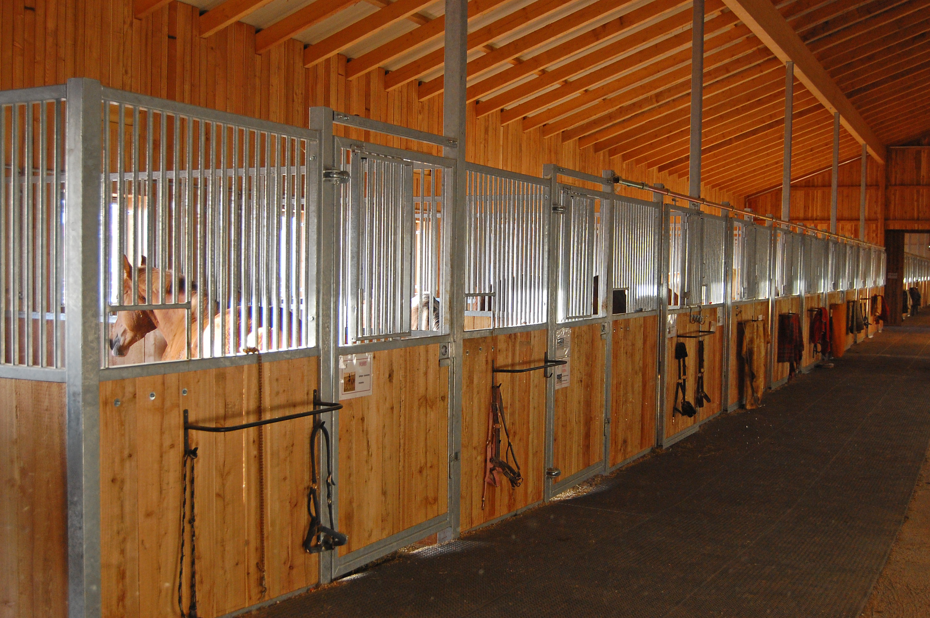 Stallungen in Boxenhaltung