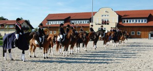 OÖ Mannschaftsmeisterschaften Dressur 2016