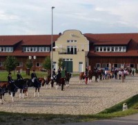 OÖ Mannschafts-Meisterschaften Dressur 2016 in Wels
