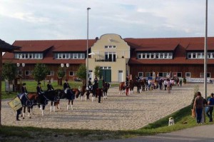 OÖ Mannschafts-Meisterschaften Dressur 2016 in Wels