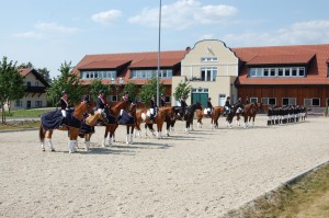 Die Turniere 2019 beim Reiterbund Wels